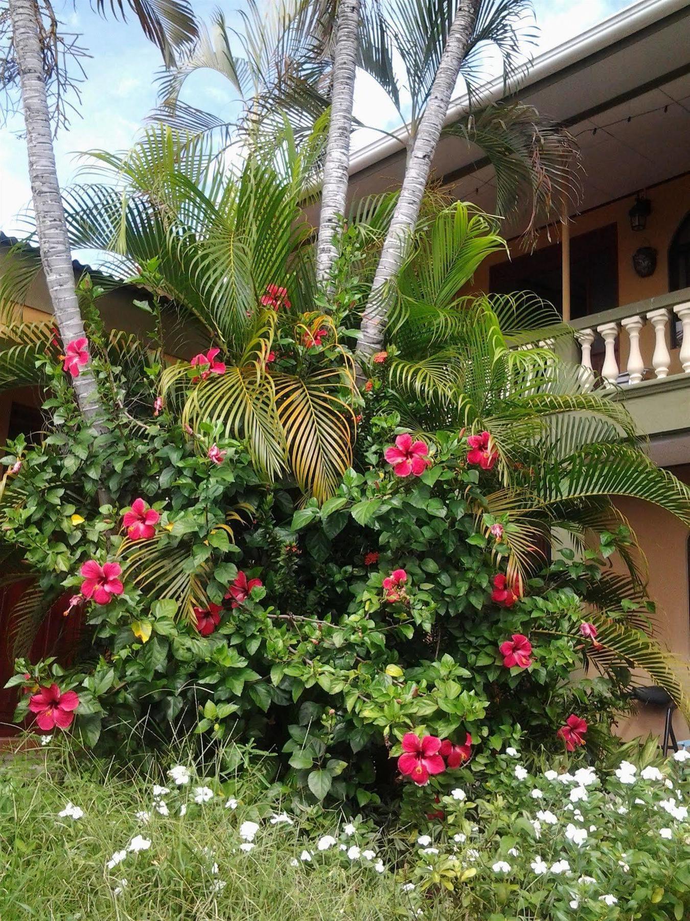 Cabinas Madeleine Lejlighedshotel Puntarenas Eksteriør billede